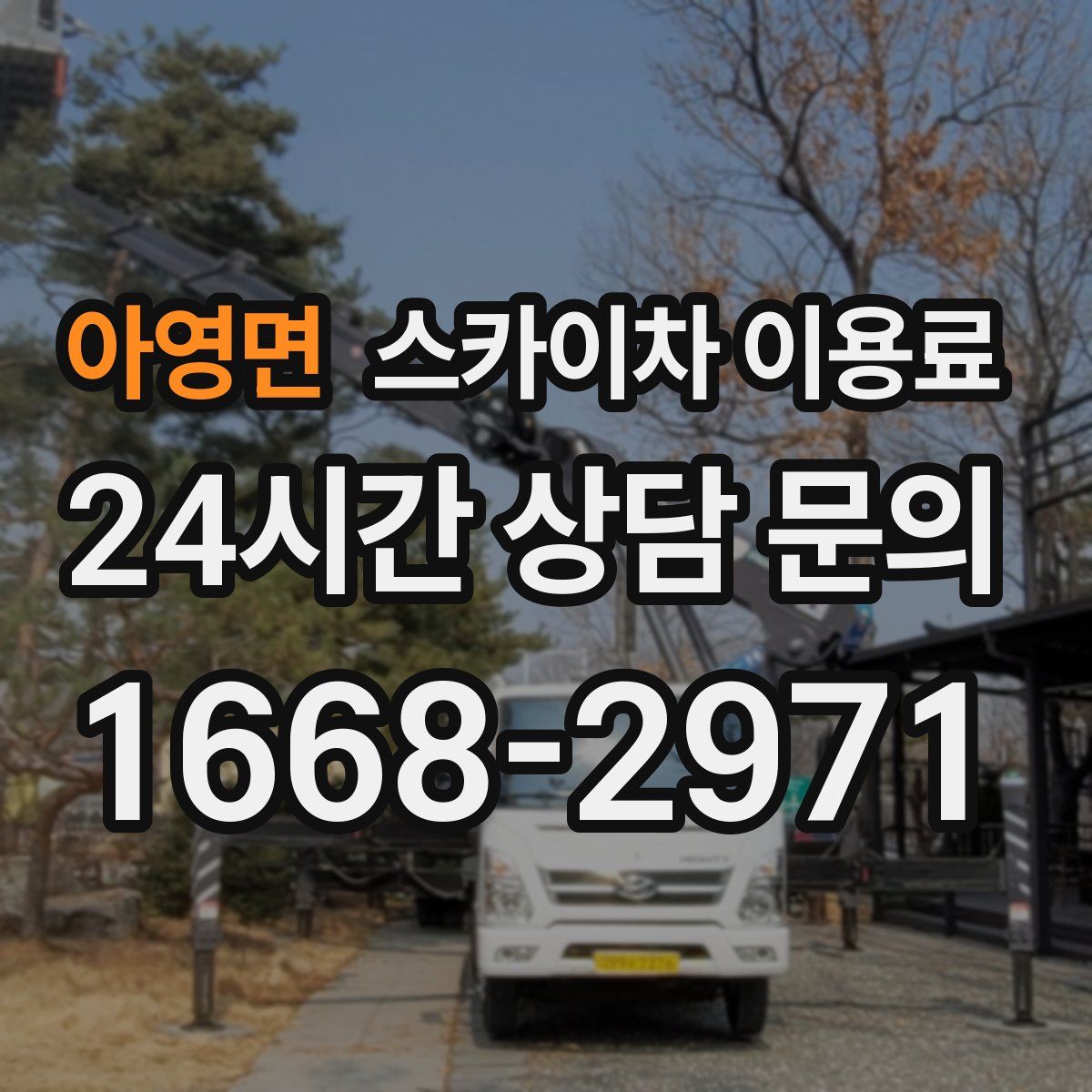 아영면 스카이차 이용료