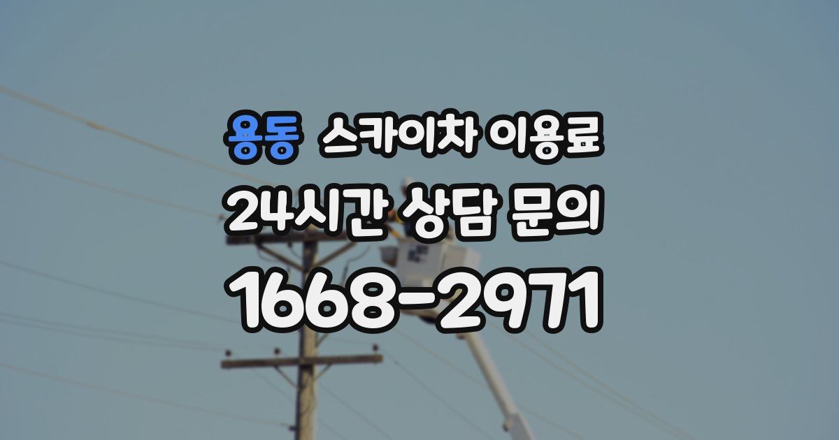 용동 스카이차 이용료