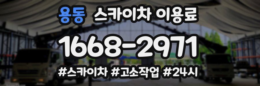 용동 스카이차 이용료