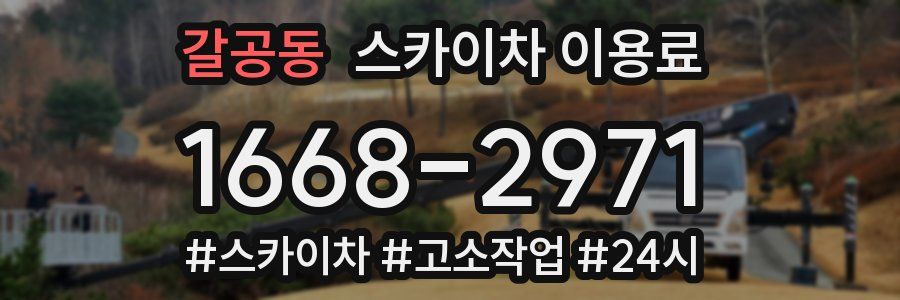 갈공동 스카이차 이용료