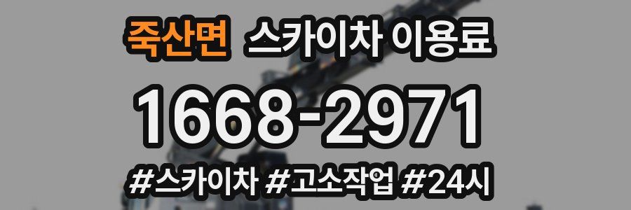 죽산면 스카이차 이용료