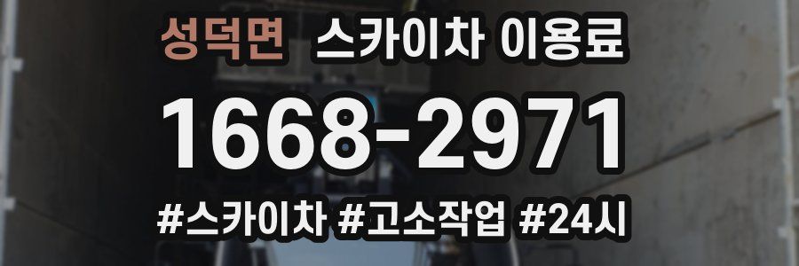성덕면 스카이차 이용료