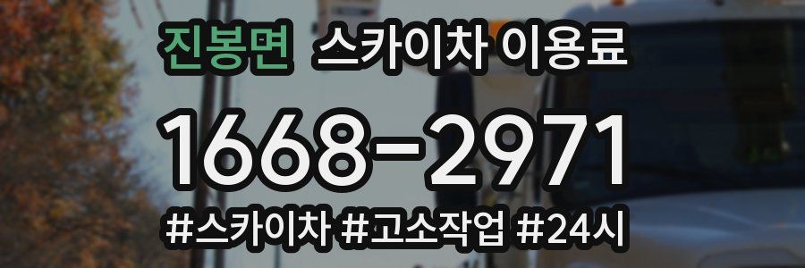 진봉면 스카이차 이용료