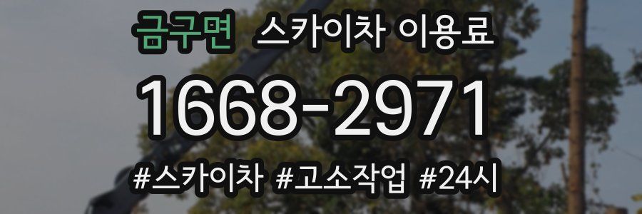 금구면 스카이차 이용료