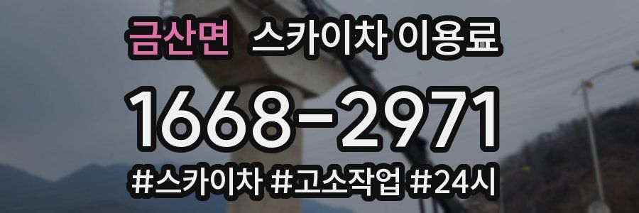 금산면 스카이차 이용료