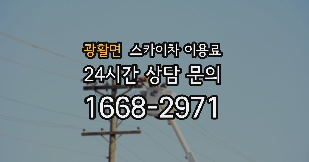 광활면 스카이차 이용료
