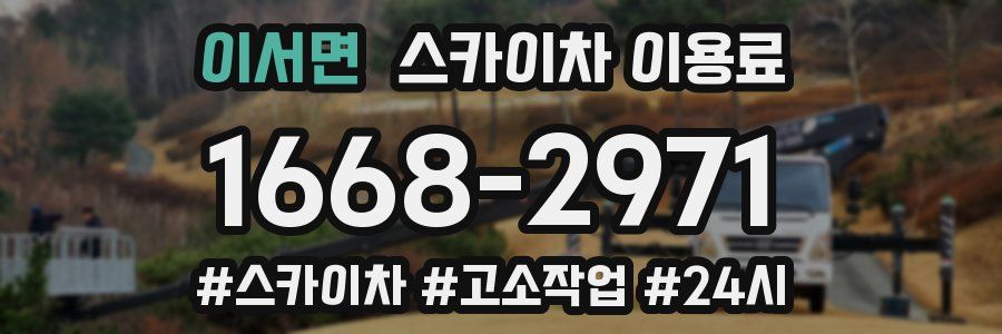 이서면 스카이차 이용료