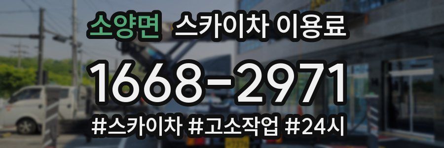 소양면 스카이차 이용료
