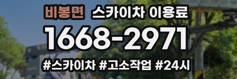 비봉면 스카이차 이용료