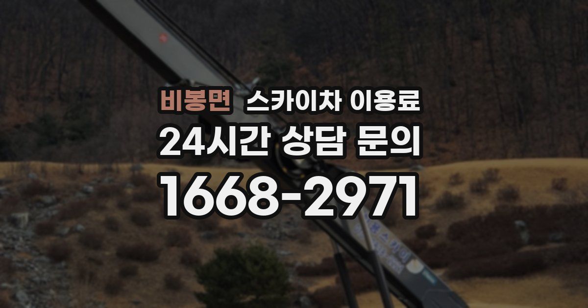 비봉면 스카이차 이용료