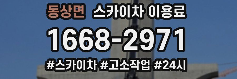 동상면 스카이차 이용료