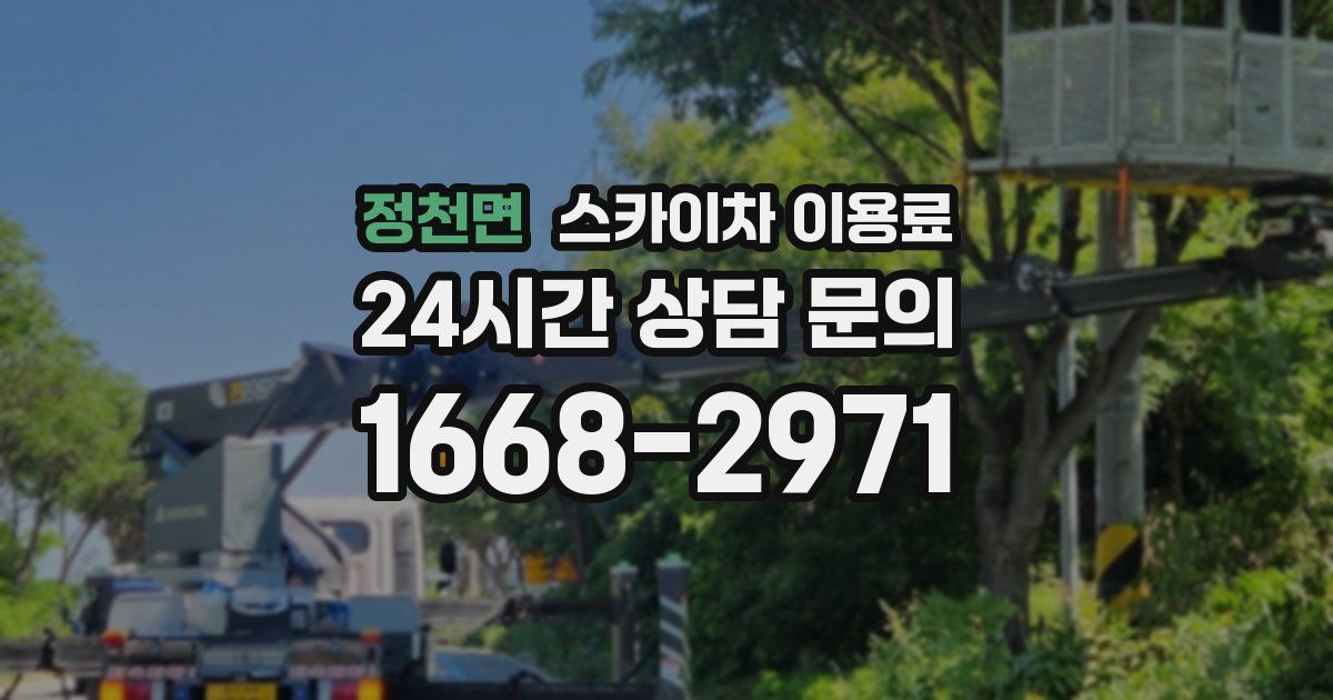 정천면 스카이차 이용료