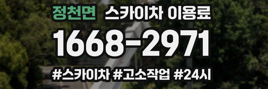 정천면 스카이차 이용료