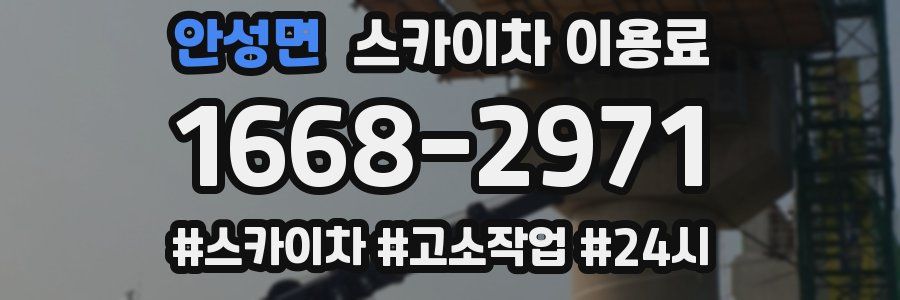 안성면 스카이차 이용료