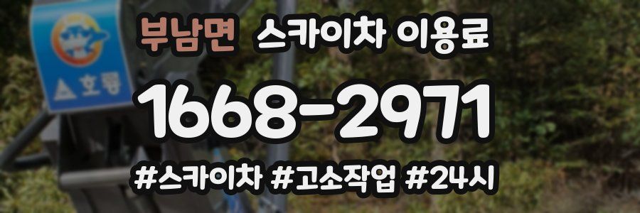 부남면 스카이차 이용료