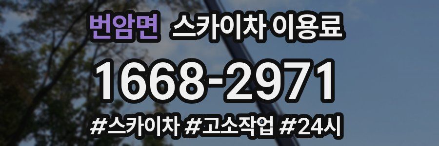 번암면 스카이차 이용료
