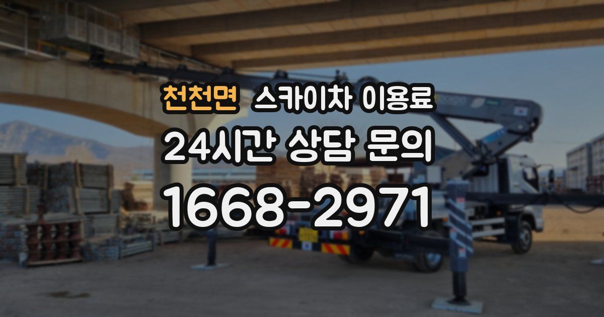 천천면 스카이차 이용료