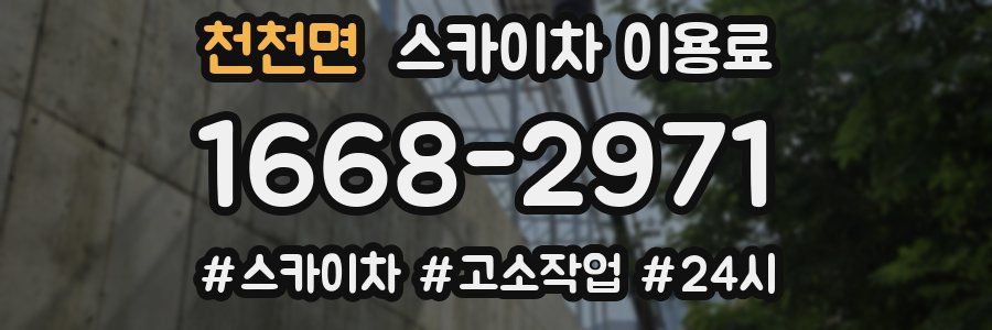 천천면 스카이차 이용료