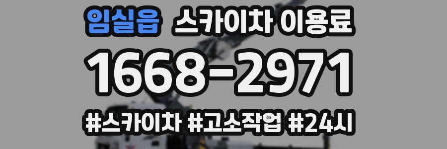 임실읍 스카이차 이용료