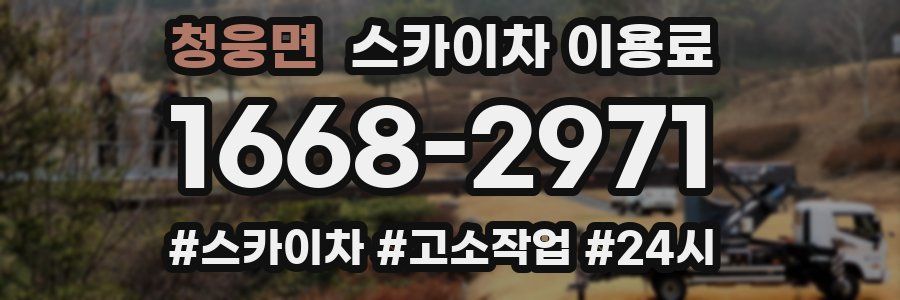 청웅면 스카이차 이용료