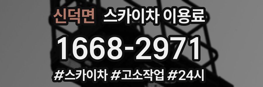 신덕면 스카이차 이용료
