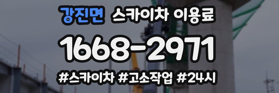 강진면 스카이차 이용료