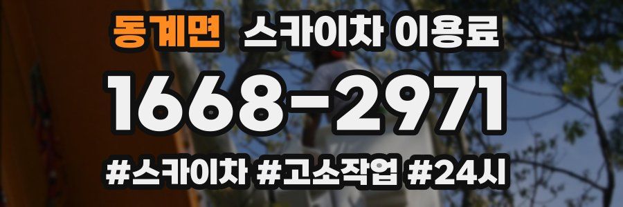 동계면 스카이차 이용료
