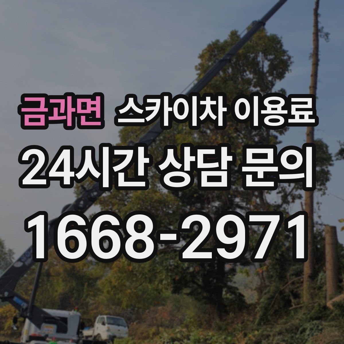금과면 스카이차 이용료
