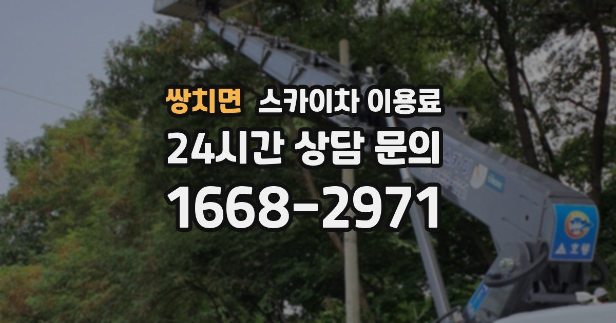 쌍치면 스카이차 이용료