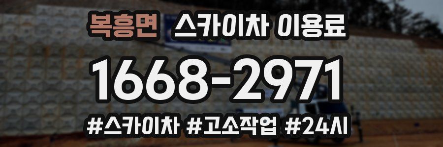 복흥면 스카이차 이용료