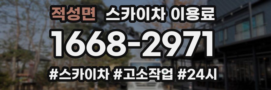 적성면 스카이차 이용료