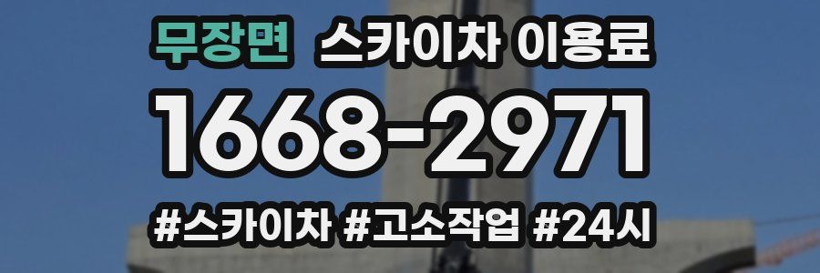 무장면 스카이차 이용료