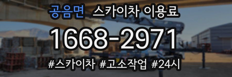 공음면 스카이차 이용료