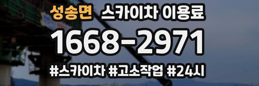 성송면 스카이차 이용료