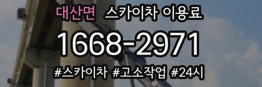 대산면 스카이차 이용료