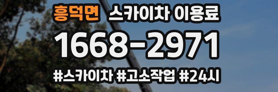 흥덕면 스카이차 이용료