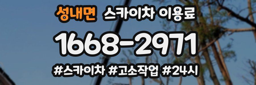 성내면 스카이차 이용료