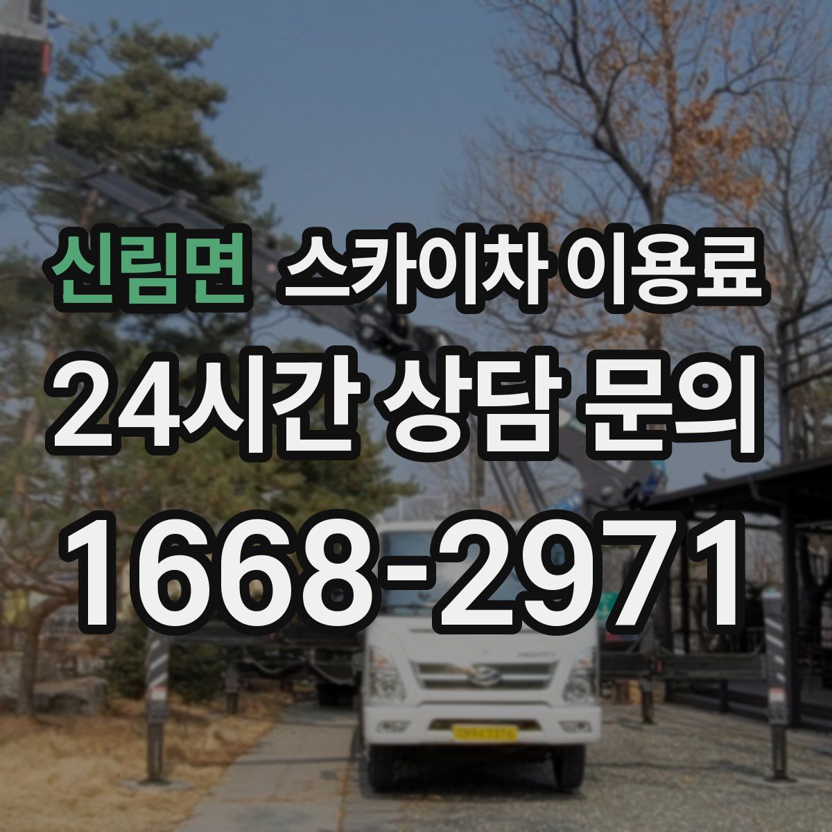신림면 스카이차 이용료