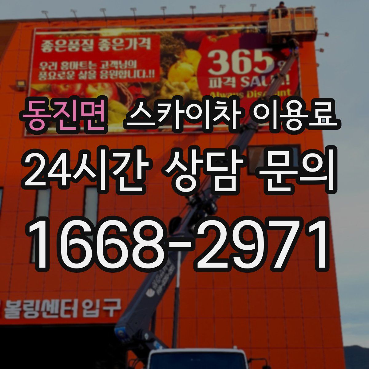 동진면 스카이차 이용료