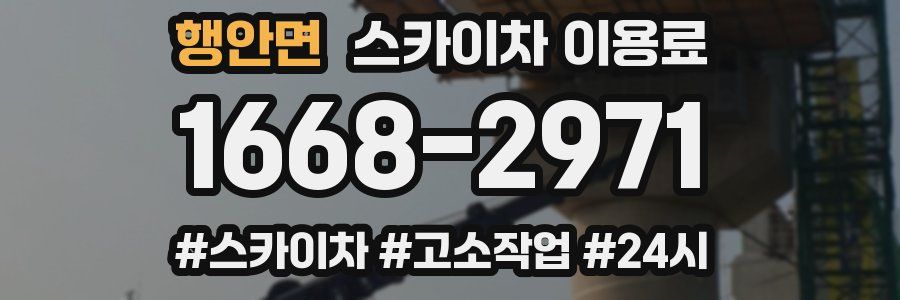 행안면 스카이차 이용료