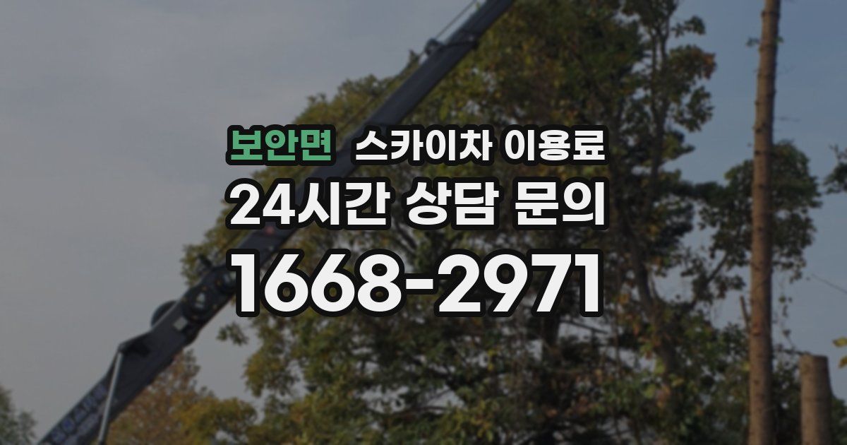 보안면 스카이차 이용료