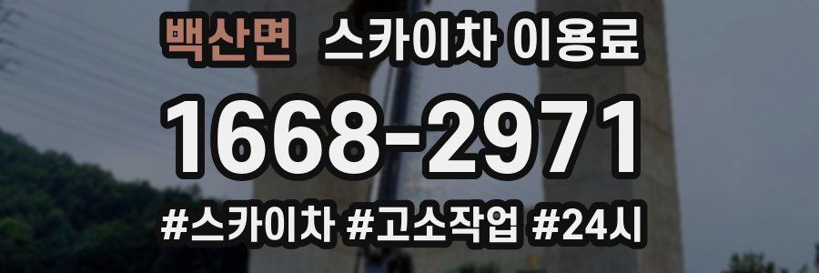 백산면 스카이차 이용료