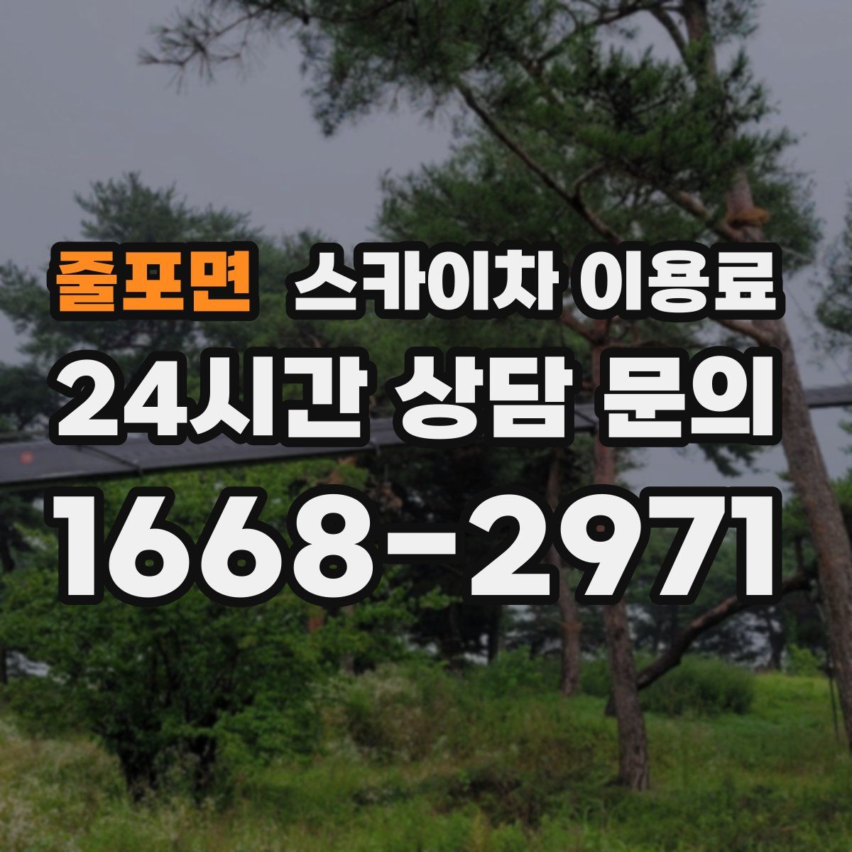 줄포면 스카이차 이용료