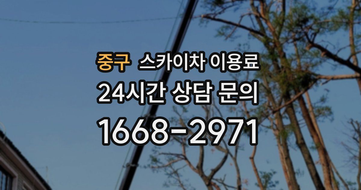 중구 스카이차 이용료