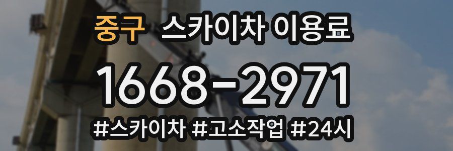 중구 스카이차 이용료