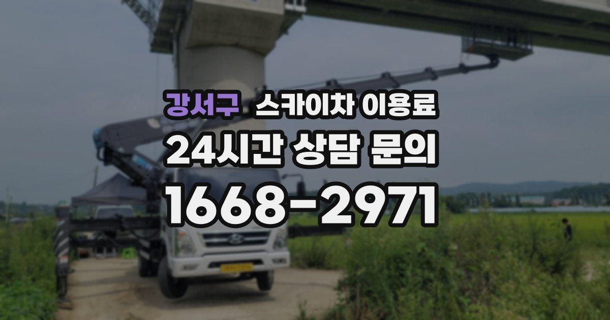 강서구 스카이차 이용료