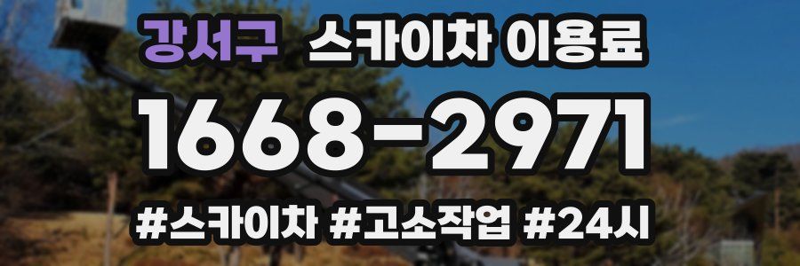 강서구 스카이차 이용료