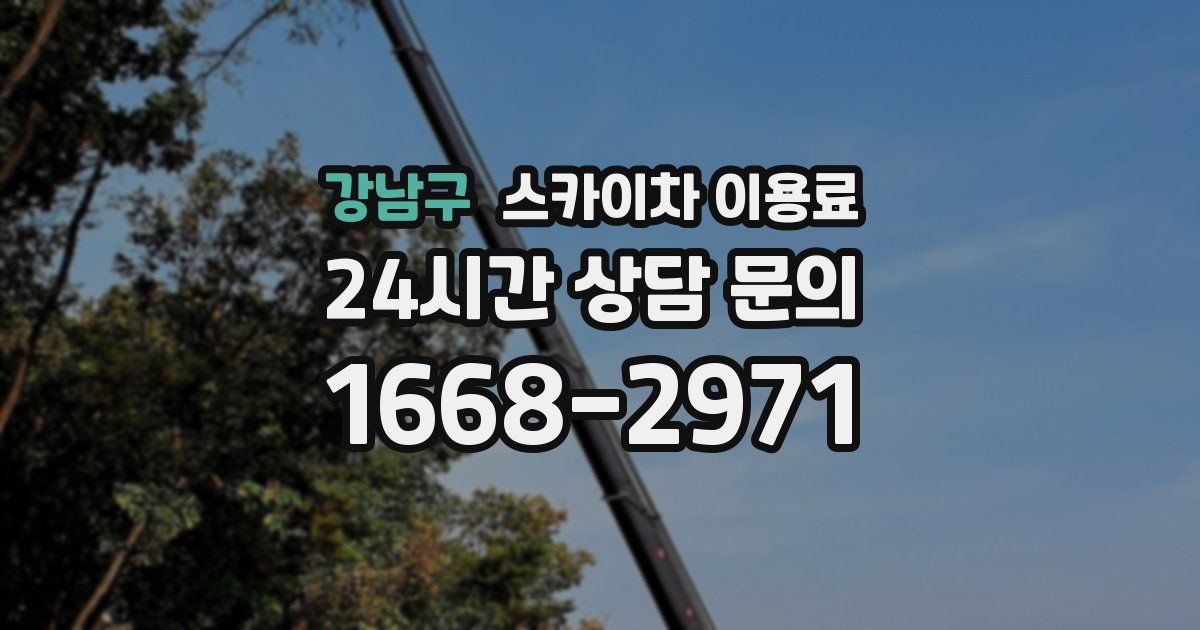 강남구 스카이차 이용료