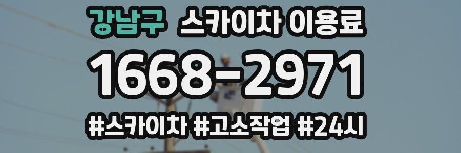 강남구 스카이차 이용료