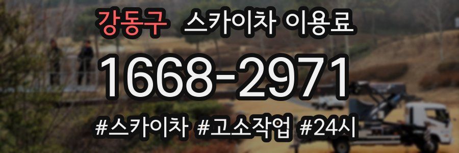 강동구 스카이차 이용료